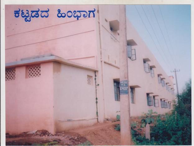 building back.jpg